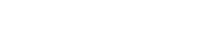  Consumer Strategies Group